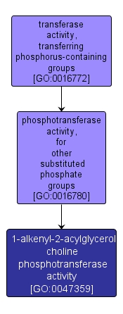 GO:0047359 - 1-alkenyl-2-acylglycerol choline phosphotransferase activity (interactive image map)