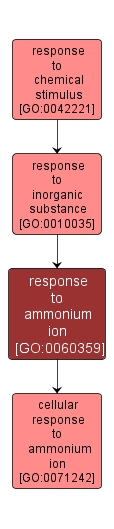 GO:0060359 - response to ammonium ion (interactive image map)