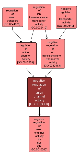 GO:0010360 - negative regulation of anion channel activity (interactive image map)