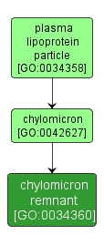 GO:0034360 - chylomicron remnant (interactive image map)