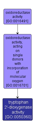 GO:0050360 - tryptophan 2'-dioxygenase activity (interactive image map)