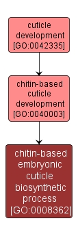 GO:0008362 - chitin-based embryonic cuticle biosynthetic process (interactive image map)