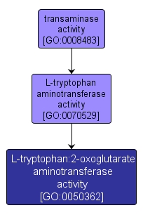 GO:0050362 - L-tryptophan:2-oxoglutarate aminotransferase activity (interactive image map)
