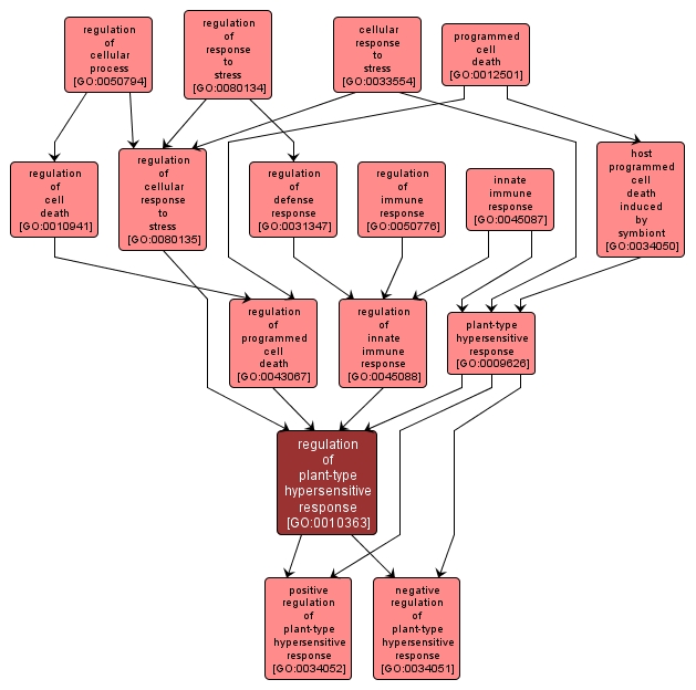 GO:0010363 - regulation of plant-type hypersensitive response (interactive image map)