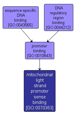 GO:0070363 - mitochondrial light strand promoter sense binding (interactive image map)