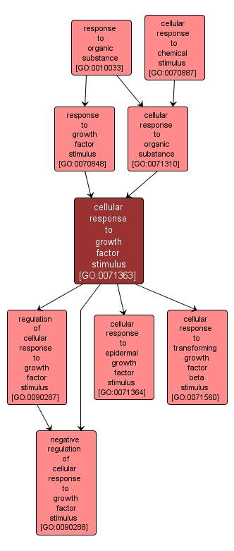 GO:0071363 - cellular response to growth factor stimulus (interactive image map)