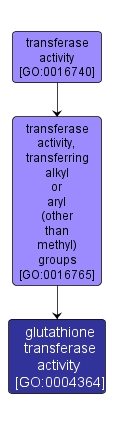 GO:0004364 - glutathione transferase activity (interactive image map)