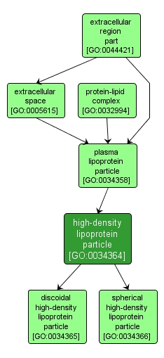 GO:0034364 - high-density lipoprotein particle (interactive image map)