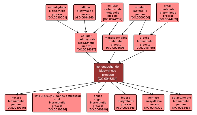 GO:0046364 - monosaccharide biosynthetic process (interactive image map)