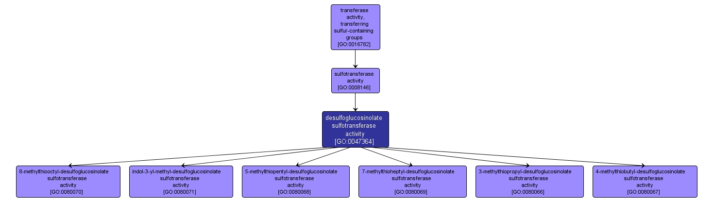 GO:0047364 - desulfoglucosinolate sulfotransferase activity (interactive image map)