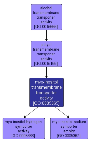 GO:0005365 - myo-inositol transmembrane transporter activity (interactive image map)