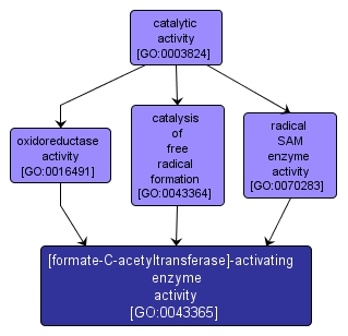 GO:0043365 - [formate-C-acetyltransferase]-activating enzyme activity (interactive image map)