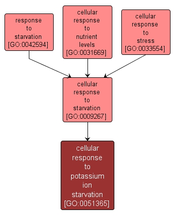 GO:0051365 - cellular response to potassium ion starvation (interactive image map)