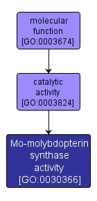 GO:0030366 - Mo-molybdopterin synthase activity (interactive image map)