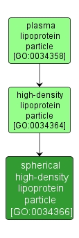 GO:0034366 - spherical high-density lipoprotein particle (interactive image map)
