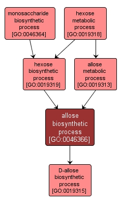GO:0046366 - allose biosynthetic process (interactive image map)