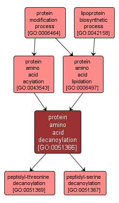 GO:0051366 - protein amino acid decanoylation (interactive image map)