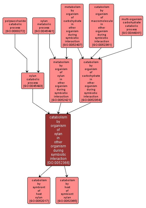 GO:0052366 - catabolism by organism of xylan in other organism during symbiotic interaction (interactive image map)