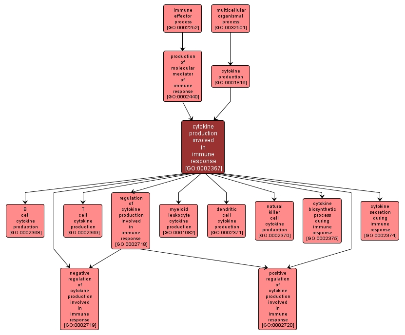 GO:0002367 - cytokine production involved in immune response (interactive image map)