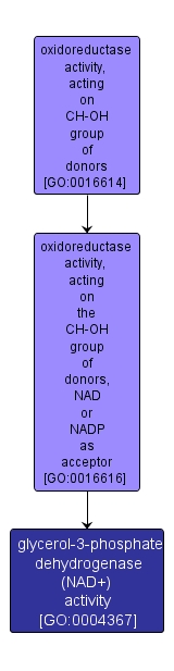 GO:0004367 - glycerol-3-phosphate dehydrogenase (NAD+) activity (interactive image map)