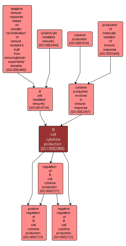 GO:0002368 - B cell cytokine production (interactive image map)