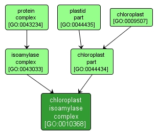GO:0010368 - chloroplast isoamylase complex (interactive image map)