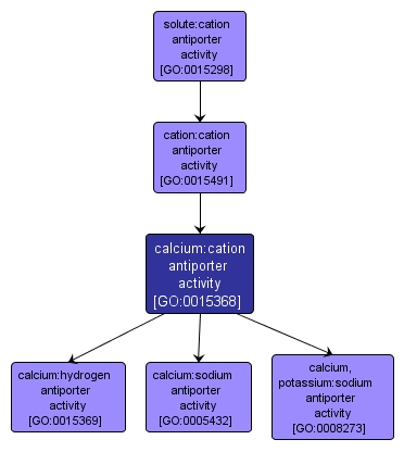 GO:0015368 - calcium:cation antiporter activity (interactive image map)