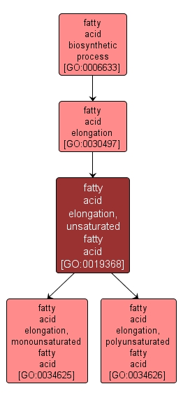 GO:0019368 - fatty acid elongation, unsaturated fatty acid (interactive image map)