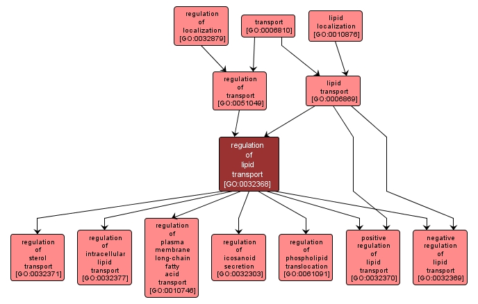 GO:0032368 - regulation of lipid transport (interactive image map)