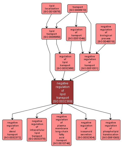 GO:0032369 - negative regulation of lipid transport (interactive image map)