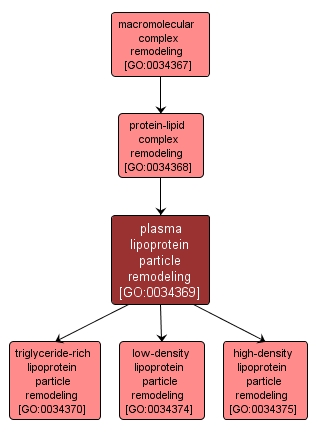 GO:0034369 - plasma lipoprotein particle remodeling (interactive image map)