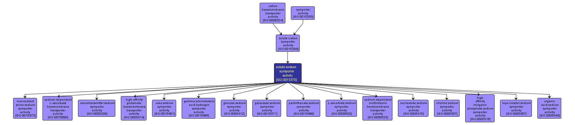 GO:0015370 - solute:sodium symporter activity (interactive image map)