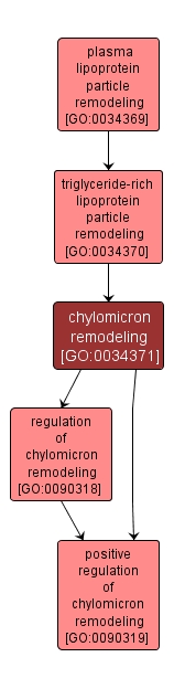 GO:0034371 - chylomicron remodeling (interactive image map)