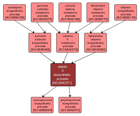 GO:0042371 - vitamin K biosynthetic process (interactive image map)