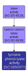 GO:0050371 - tyrosine phenol-lyase activity (interactive image map)