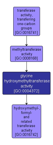 GO:0004372 - glycine hydroxymethyltransferase activity (interactive image map)