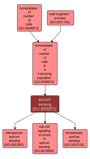 GO:0009372 - quorum sensing (interactive image map)