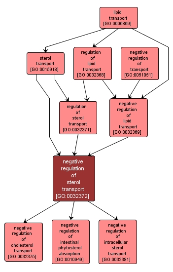GO:0032372 - negative regulation of sterol transport (interactive image map)