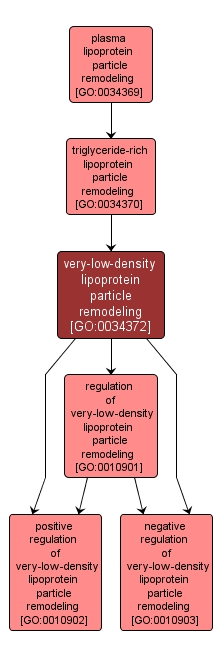 GO:0034372 - very-low-density lipoprotein particle remodeling (interactive image map)