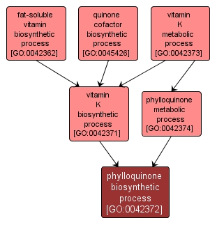 GO:0042372 - phylloquinone biosynthetic process (interactive image map)