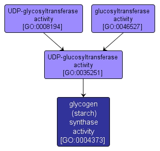 GO:0004373 - glycogen (starch) synthase activity (interactive image map)