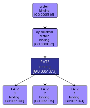 GO:0051373 - FATZ binding (interactive image map)