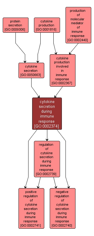 GO:0002374 - cytokine secretion during immune response (interactive image map)