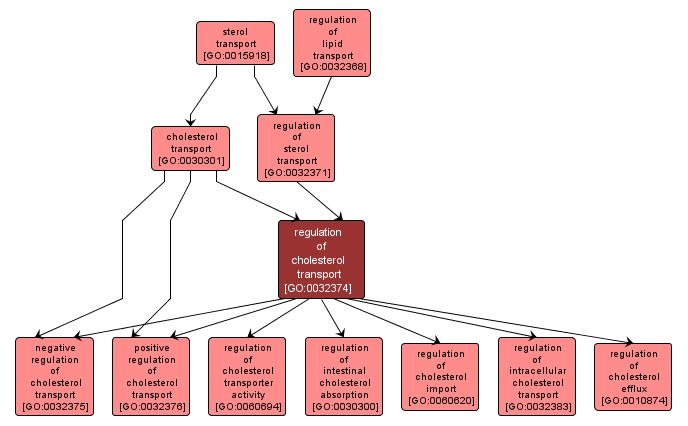 GO:0032374 - regulation of cholesterol transport (interactive image map)