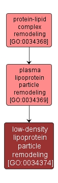 GO:0034374 - low-density lipoprotein particle remodeling (interactive image map)