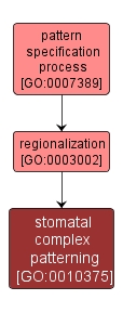 GO:0010375 - stomatal complex patterning (interactive image map)