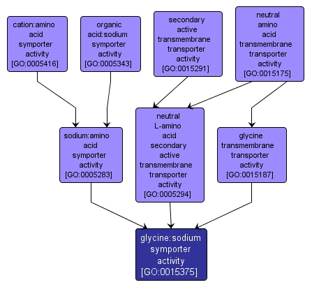 GO:0015375 - glycine:sodium symporter activity (interactive image map)