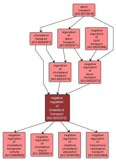 GO:0032375 - negative regulation of cholesterol transport (interactive image map)