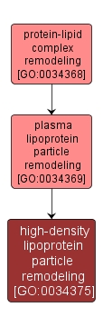 GO:0034375 - high-density lipoprotein particle remodeling (interactive image map)