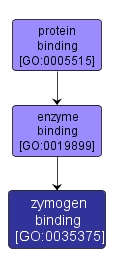 GO:0035375 - zymogen binding (interactive image map)